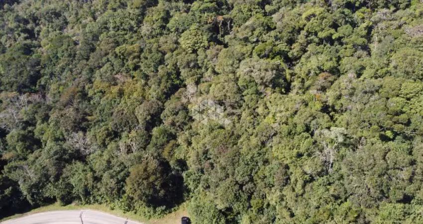 Terreno à venda na Rua Cezare Vaccari, 626, Alpes Verdes, Canela