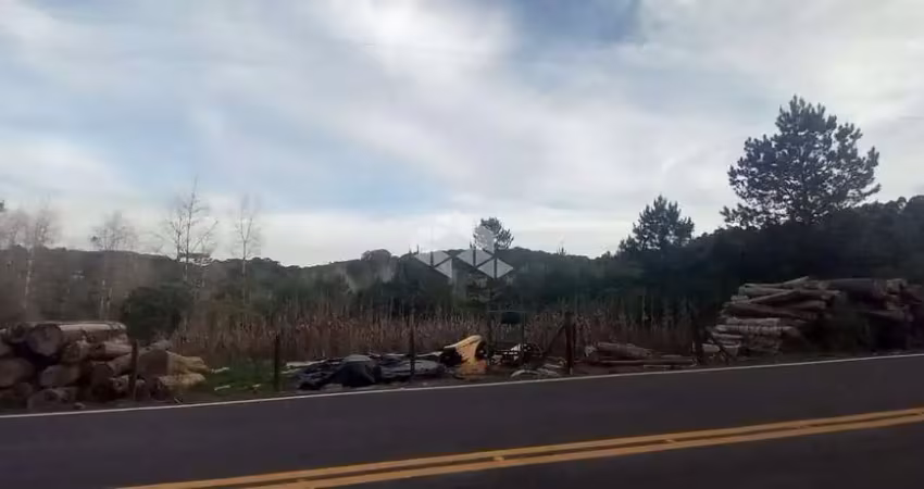 Terreno a venda  em canela - 1.170m² plano, ensolarado e próximo ao parque do caracol