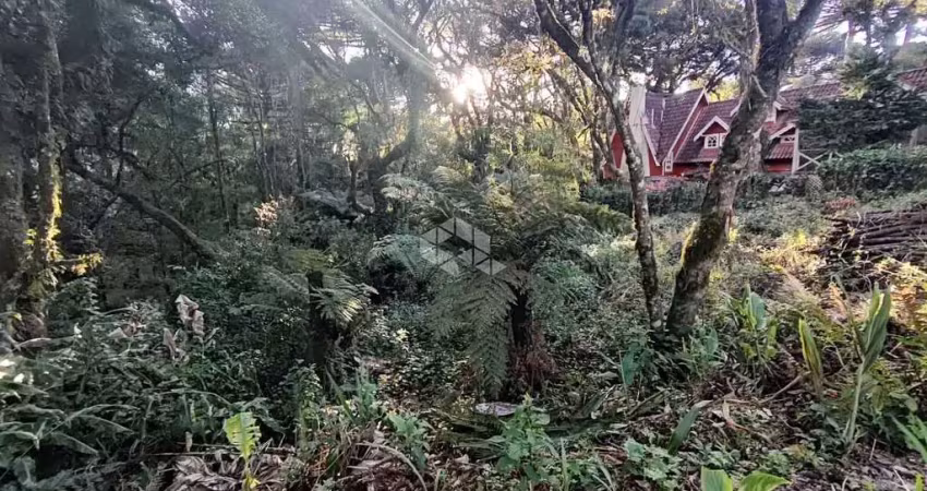 Terreno à venda na Narciso Vicente Perottoni, 3, Bosque Sinoserra, Canela