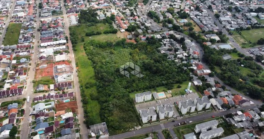Terreno á venda, medindo 30.000  m². Em São Leopoldo/RS