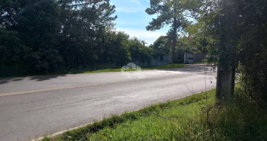 Terreno a venda na Estrada Costa Gama - Belem Velho