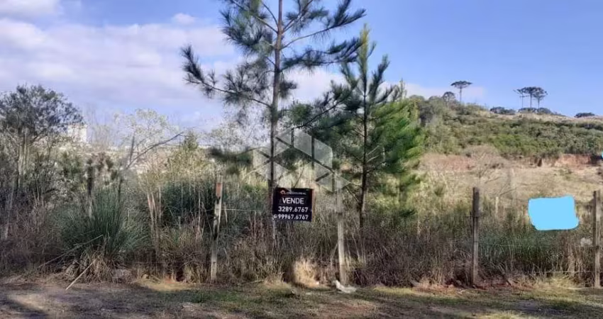 Terreno urbano esquina 535 m2 no bairro são luiz em caxias do sul