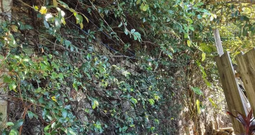 Terreno  para venda   com  11 x 44 m²  no bairro Santa Tereza/Menino Deus em Porto Alegre/RS