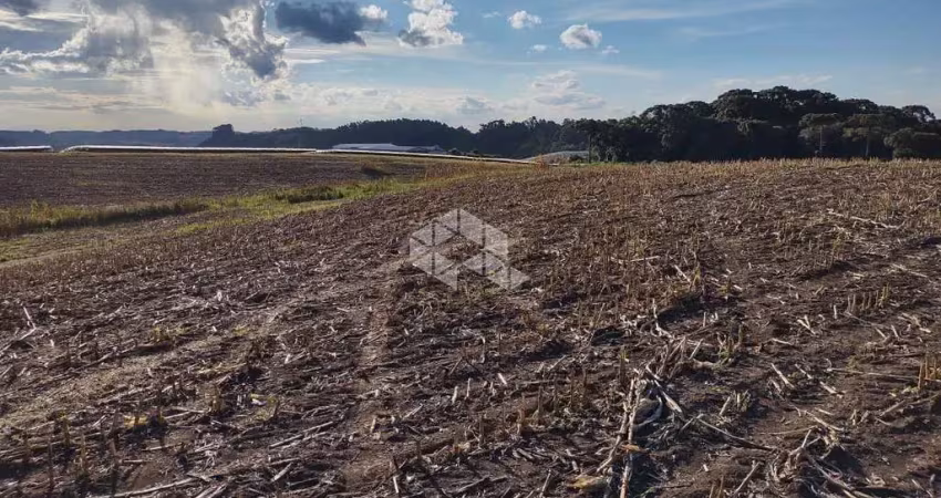 Terreno à venda na Rod Vicinal Mato Perso, 18, Forqueta, Caxias do Sul