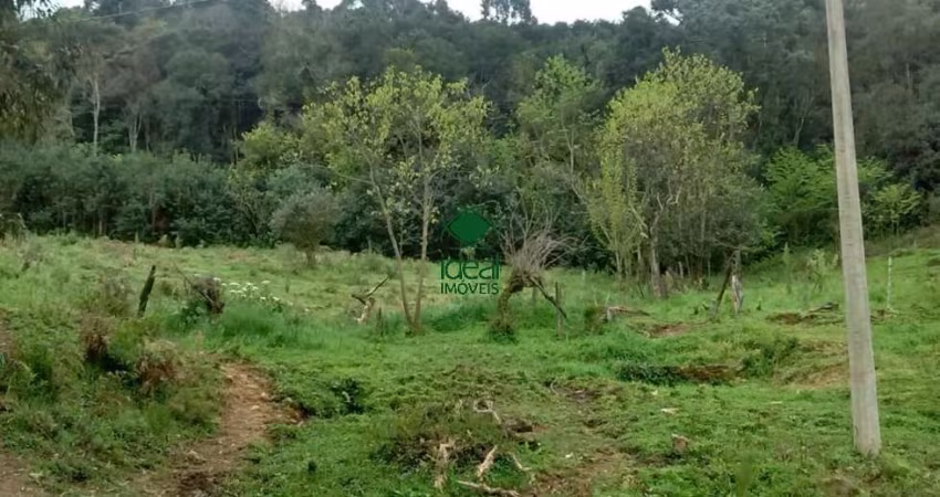 Ótima área de terras na Vila Maestra em Caxias do Sul sentido Flores da Cunha