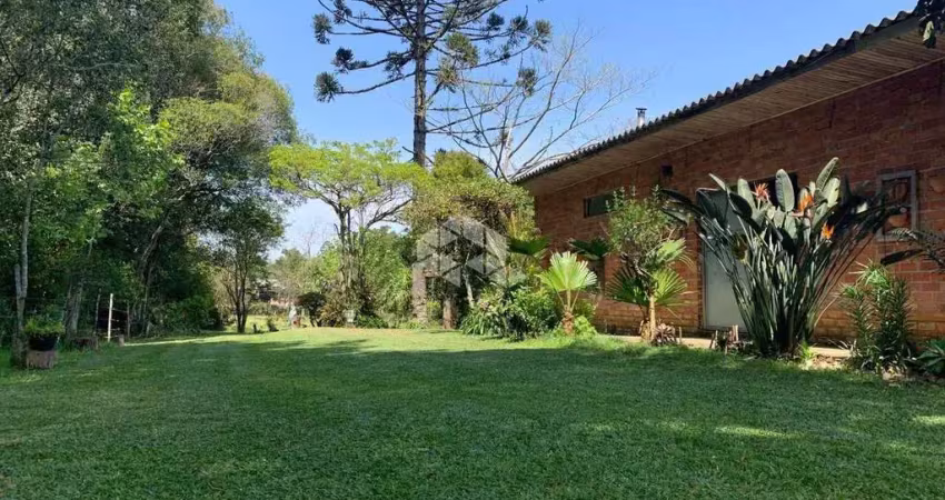 Chácara / sítio com 5 quartos à venda na Área Rural, 2, Zona Rural, Farroupilha