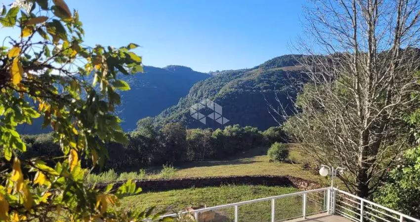 Chácara / sítio com 5 quartos à venda na Linha Hortência, 1, Mato Perso, Flores da Cunha