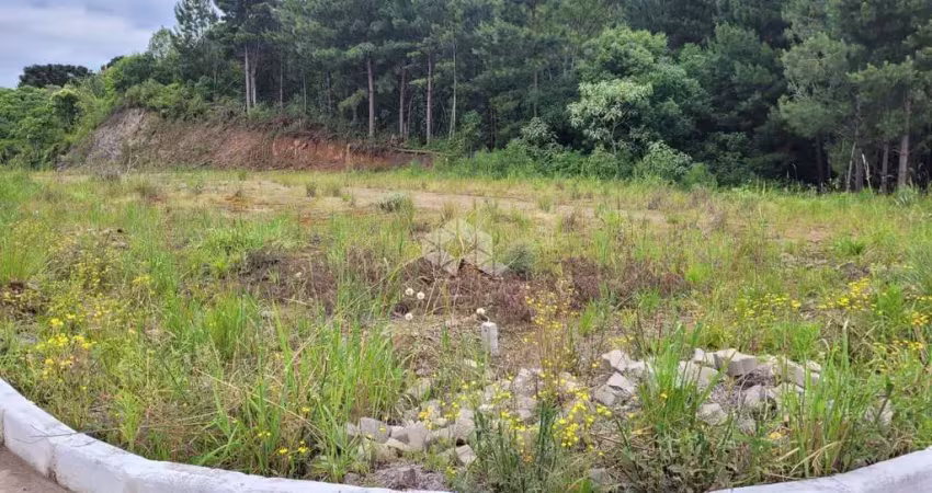 Terreno à venda na Área Rural, 28, Zona Rural, Farroupilha