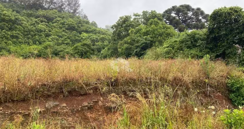 Terreno à venda na Área Rural, 02, Zona Rural, Farroupilha