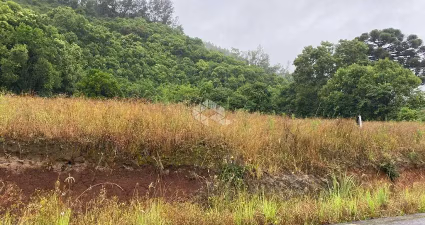 Terreno à venda na Área Rural, 1, Zona Rural, Farroupilha