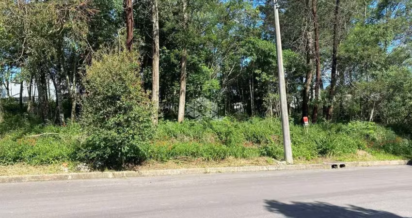 Terreno à venda na Ângelo Pezzi, 9, América, Farroupilha
