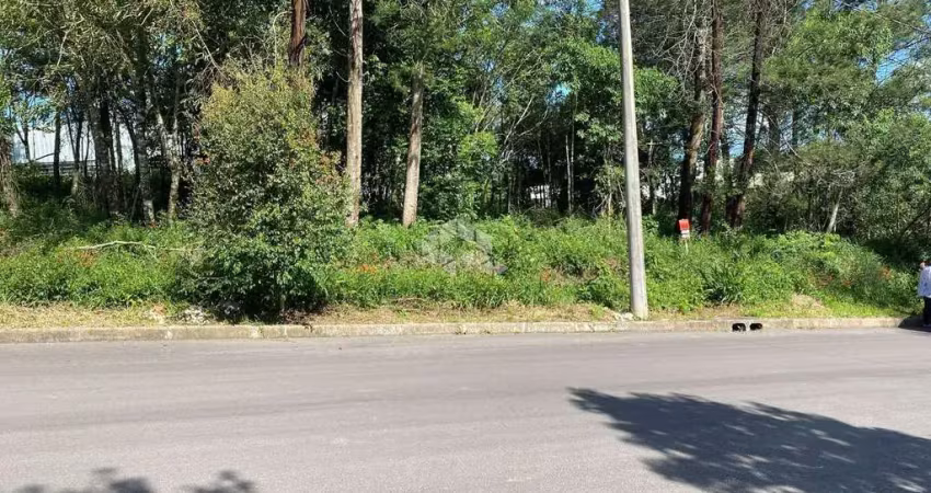 Terreno à venda na Ângelo Pezzi, 1, América, Farroupilha