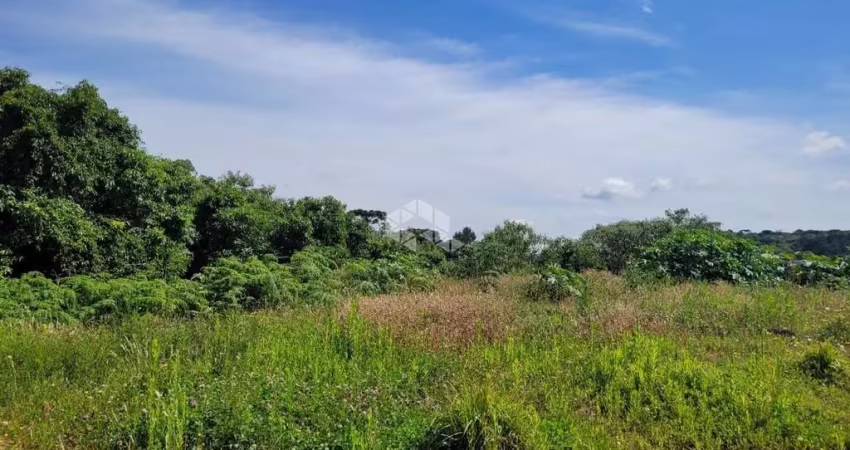 Terreno à venda na Caetano Grendene, 260, Medianeira, Farroupilha