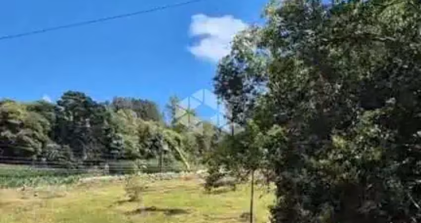 Terreno à venda na Linha Palmeiro, 01, Caravaggio, Farroupilha
