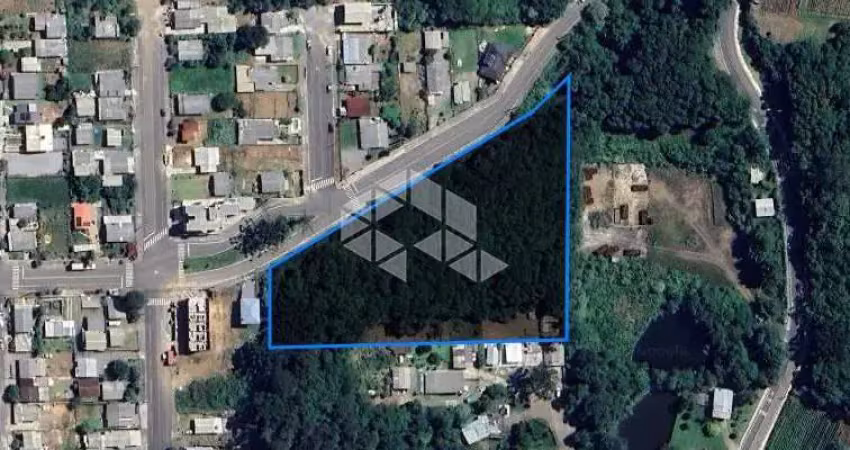 Área de terra na entrada do bairro monte verde com 10.400 m²