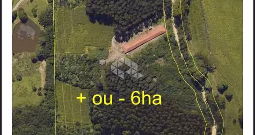 Terreno à venda na Área Rural, 002, Zona Rural, Farroupilha