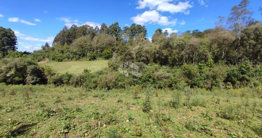 Terreno plano, com riacho, espera pra luz e espera pra água