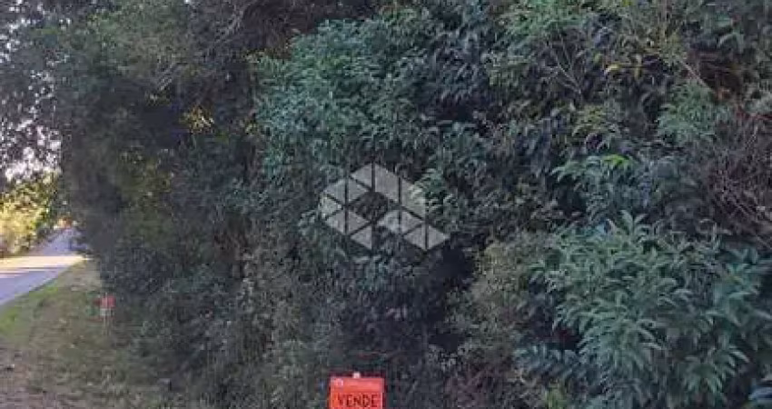 Terreno à venda na Rodovia ERS-448, 1, São Marcos, Farroupilha