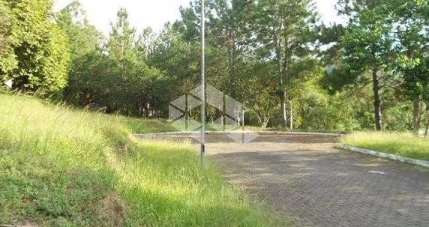 Terreno com 452,30m² A Venda - Ratones, Florianópolis SC.