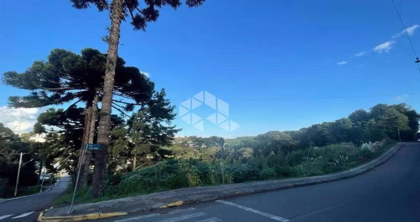 Amplo Terreno de Esquina  com tamanho diferenciado