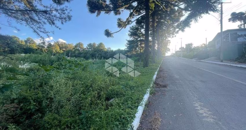 Terreno com tamanho diferenciado