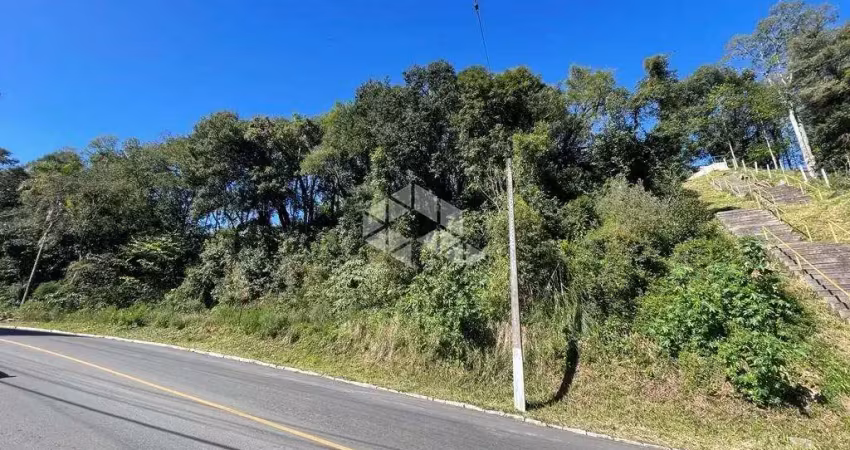 Terreno à venda na José Lorenzi, 5, Borghetto, Garibaldi