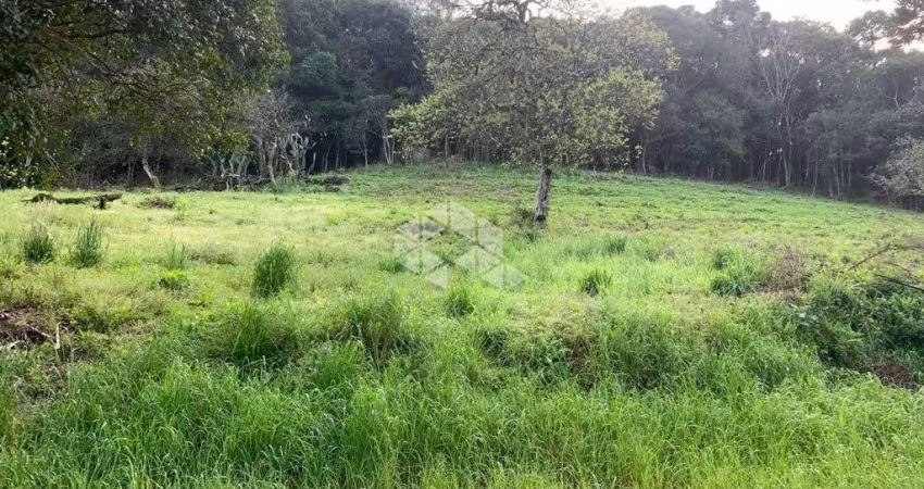 Terreno próximo ao parque da Fenchamp na BR 470 em Garibaldi