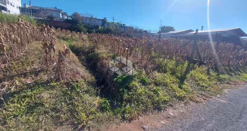 Terreno à venda na Ima Dorothee, 4, Alfândega, Garibaldi