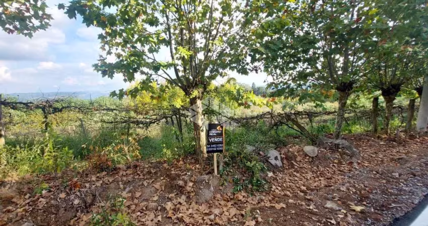 Chácara / sítio com 1 quarto à venda na Linha São Jorge, 23, Centro, Coronel Pilar