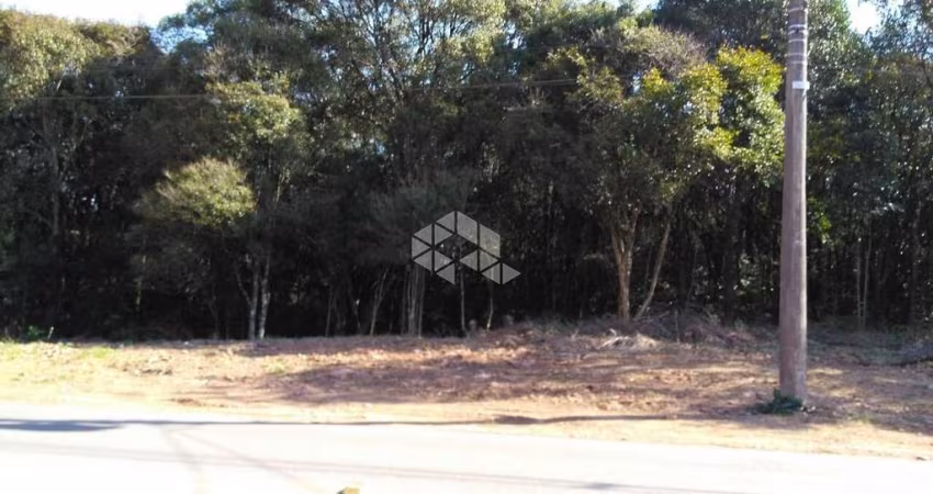 Terreno próximo a Br 470