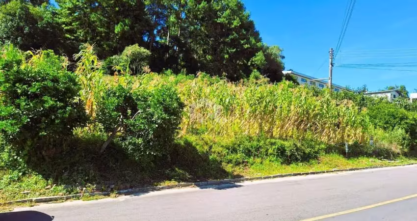 Terreno à venda na Cristóvão Colombo, 100, Santa Terezinha, Garibaldi