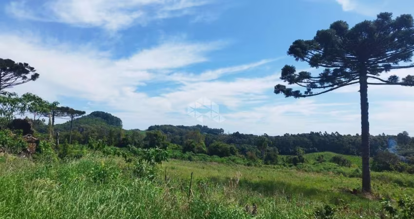 Àrea de terra em Marcorama/Garibaldi!