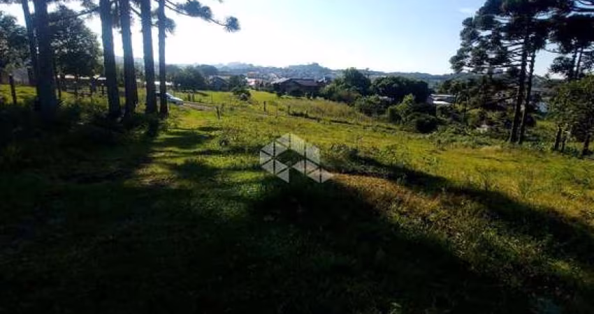 Amplo terreno no bairro Alfândega!