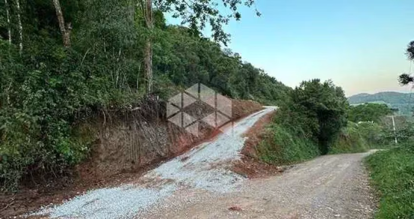 Chácara / sítio à venda na Pinto Bandeira, 1, Centro, Pinto Bandeira
