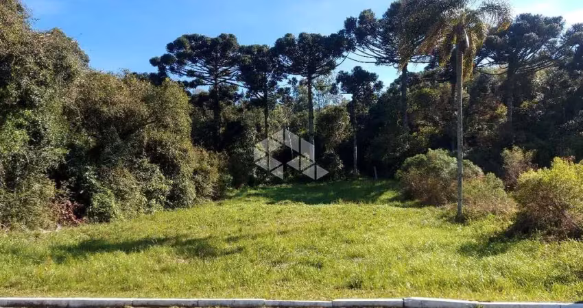 Terreno à venda na Fortunato Agostini, 417, Santa Terezinha, Garibaldi