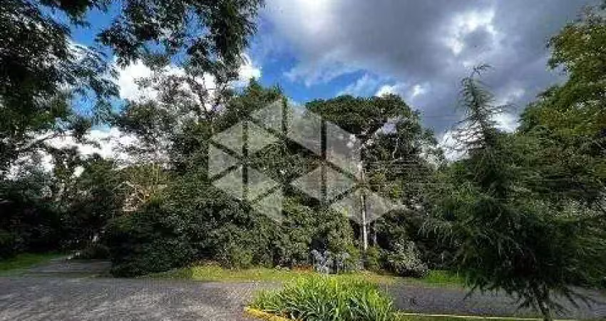 Terreno com 489,78m²,  com projeto aprovad . condomínio quinta da serra em canela.