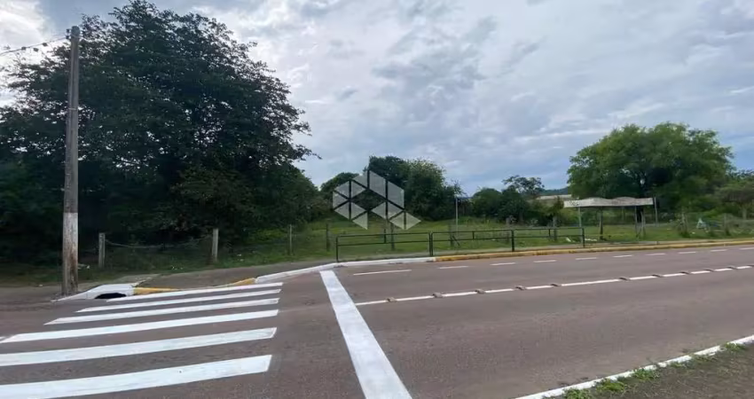 Terreno à venda no bairro  ermo em guaiba.1.023,75m2, na rua pref nelnon cornetet, próximo a rotatória.