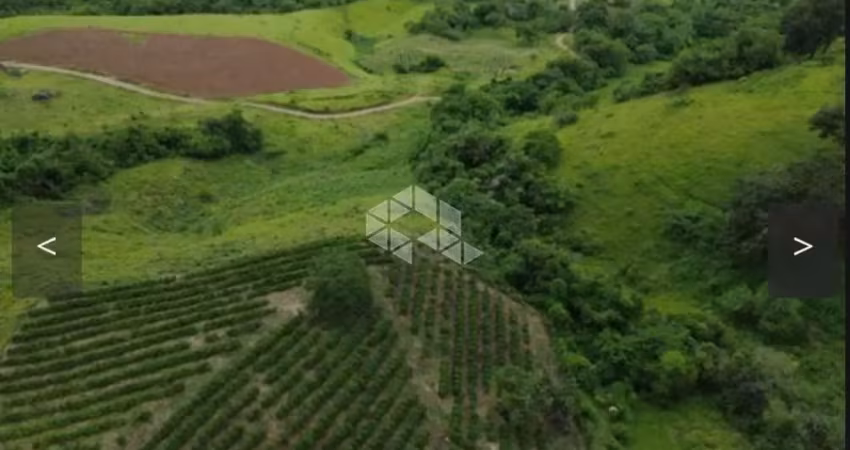 Terreno em municipio de poço fundo de 42 hectares propício para lavoura de café ou pecuária