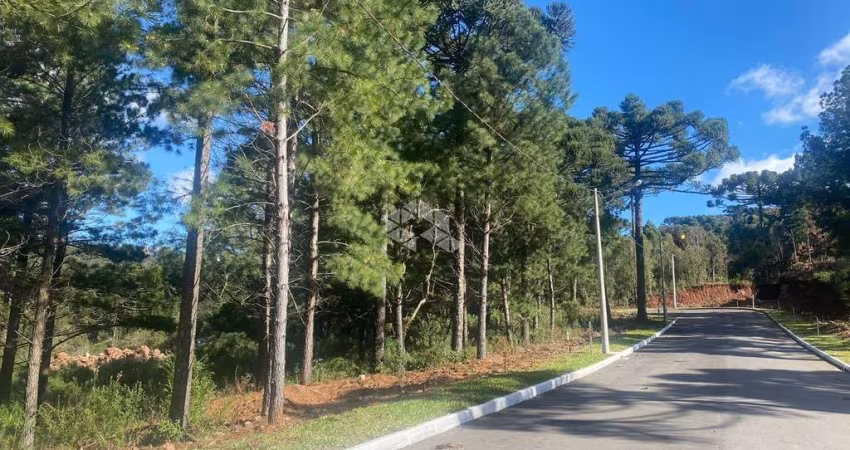 TERRENO EM GRAMADO