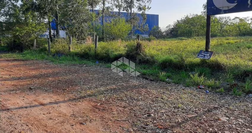 Terreno 7668m2 em Cachorreira