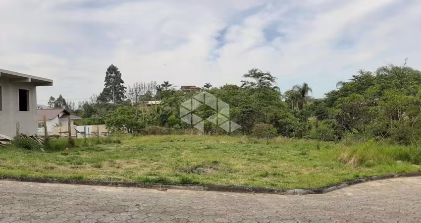 LOTE EM LOTEAMENTO COM INFRAESTRUTURA COMPLETA EM AREAIS DO MEIO