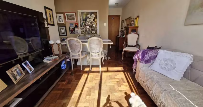 Apartamento no menino deus, 2 dormitórios, reformado, vaga de garagem e ensolarado.