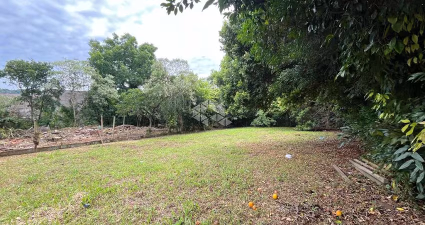 Terreno na Rua Rio Branco, Bairro Centro/Santo Inácio, localização privilegiada!