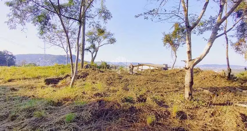 Terreno à venda na BR-471, 99, Renascença, Santa Cruz do Sul