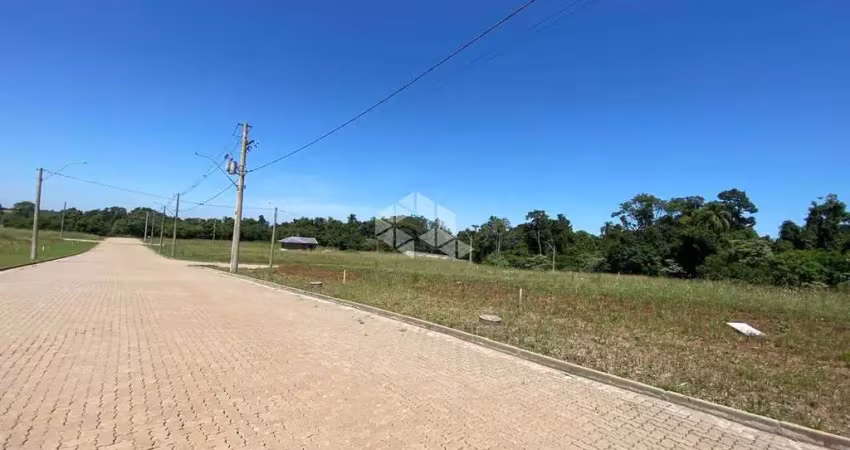 Terreno plano com sol da manhã, em linha santa cruz
