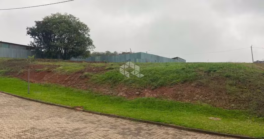 Terreno à venda na Leo Kraether, 1086, Country, Santa Cruz do Sul