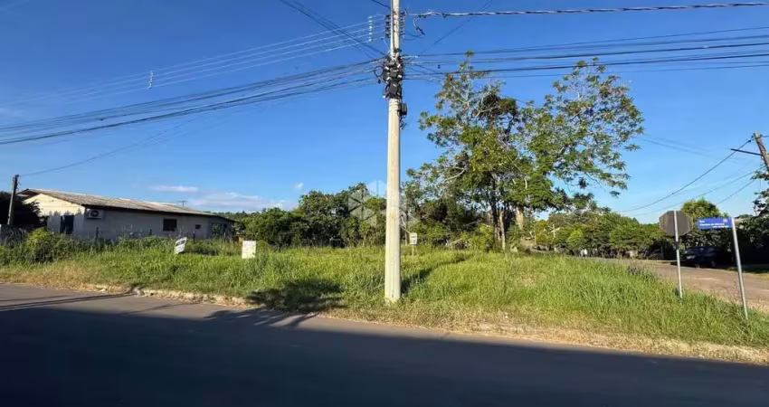 Terreno à venda na Adão Sebastião Ipe da Silva, 184, Cipriano de Oliveira, Vera Cruz
