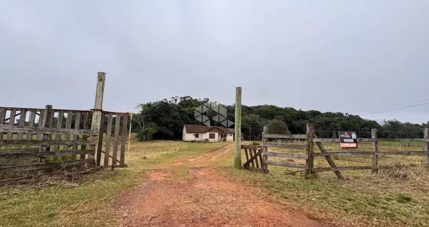 Chácara / sítio com 3 quartos à venda na Cerro Alegre Alto, 1, Área Rural de Santa Cruz do Sul, Santa Cruz do Sul