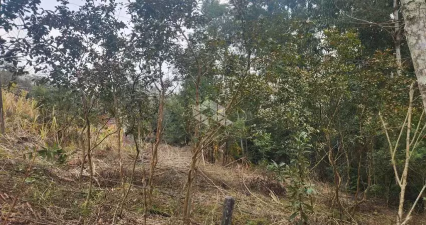 Chácara / sítio à venda na Rs 418, 7000, Linha Antao, Santa Cruz do Sul
