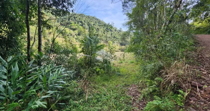 Área de terras com 2 hectares a venda em linha boa vista!